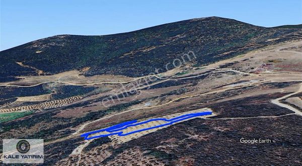 Kale Yatırımdan Çeltikçide 6433m²göl Manzaralı Bakımlı Zeytinlik