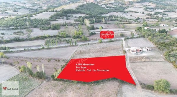 Vadi Emlak'tan Yazıbaşı Köyü'nde 4.686 M² Satılık Tarla