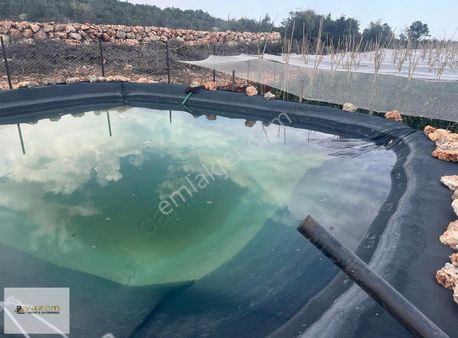 Fırsatt Arslanlı 1.5 Dönüm İmarlı Etrafı Çevrili Havuzlu