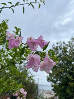 Gözde Life'tan Yeni Mahallede Satılık Konut İmarlı Arsa