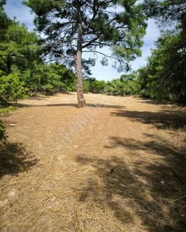 Çanakkale Merkez Dümrek Köyünde Satılık Tarla