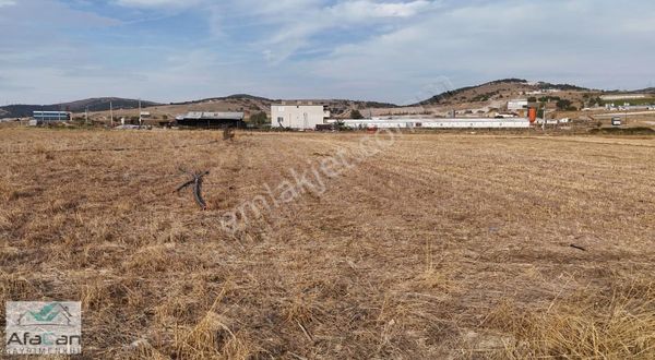 Kepsut Yolu Köseler'de Termal Sulu Yatırımlık 2.812m2tarla