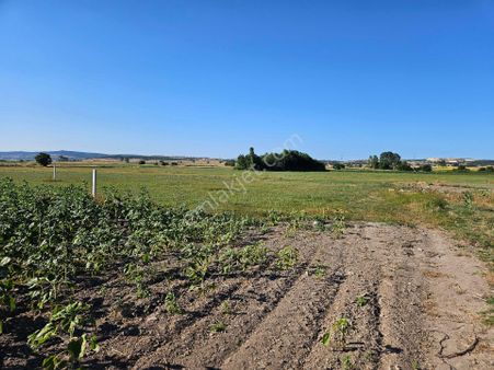 Merkezi Konumlu 500 M²