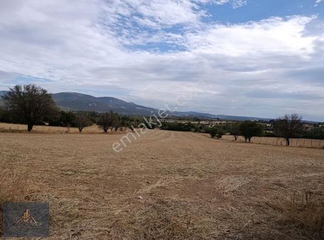 Çanakkale Bayramiç Pınarbaşı Köyünde Satılık Tarla