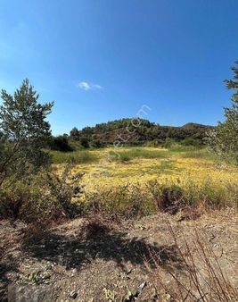 Fırsat Satılık Tek Tapu Tarla