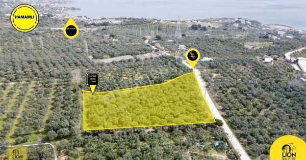 🟨⬛ Erdek Hamamlı Mahallesinde Ana Caddeye Cephe Satılık 5314m² Satılık Zeytinlik⬛🟨