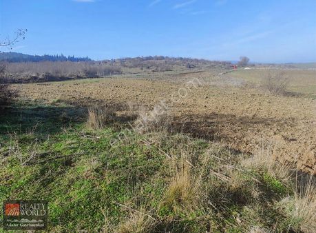 Balıkesir Manyas Boğazpınar Köyü 'nde Satılık Tarla
