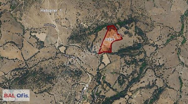 C21 Bal'dan Kaşıkçı Müstecap Arasında Sanayi Alanının İçinde..