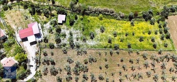 Torbalı Ormanköyde 7dönüm İçerisinde 200m² Müstakil Ev Satılık