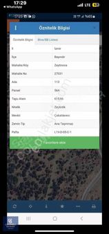 Bayındır Zeytinova Köyünde 1 Km Merkezde, 24 Ağaçlı Zeytinlik