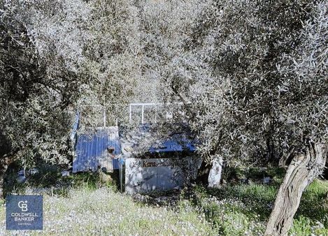 Bayındır Kızılobada 119 M²yol Üstü Zeytinlik Takasa Uygun