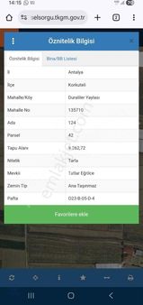 Korkuteli Duraliler Yaylsında Satılık Tek Tapu Tarla