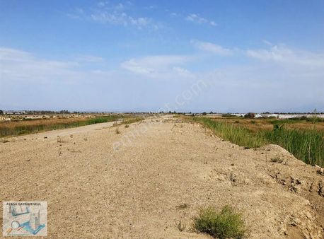 Aysa'dan Kumköy'de 6300m² Müstakil Tapulu Tarla