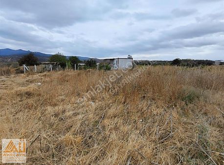 Ayn Gayrimenkul Den Haykıran Da Satılık Bağ..