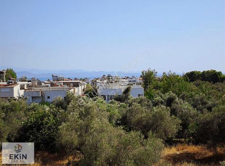 Güre'de Denize Çok Yakın Sıfır 4+1 Tripleks Villa