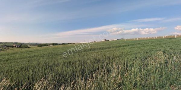 Arnavutköy Hacımaşlı Satılık Arsa , 161 M2 Evlerin Yakını Yolu Var