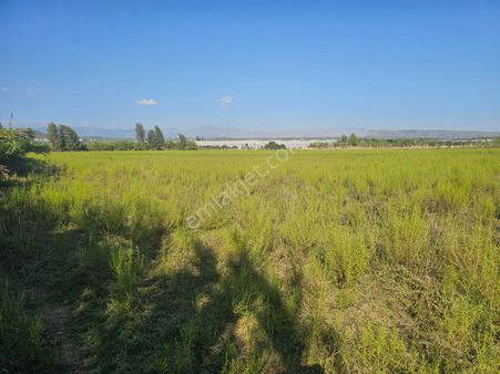 Manavgat Taşağıl Mahallesınde D400 Devlet Karayoluna 2.parselde Kıralık Nıtelıklı Tarım Arazısı