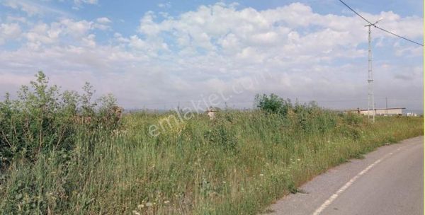 Arnavutköy Hacımaşlı Satılık Arsa , 200 M2 Asfalt Caddeye Cephe Hisseli