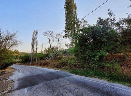 C21 Bal'dan Altıeylül Taşköy Mah.de Köy İçi Satılık 592 M2 Arsa