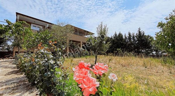 C21 Bal`dan Naipli Mh. 1000m² İçinde 2 Katlı Satılık Müstakil Ev