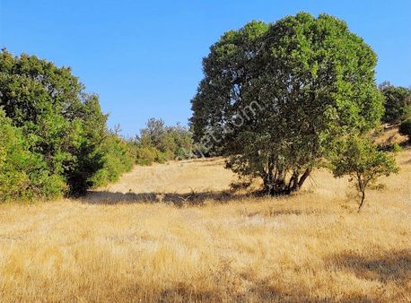 Century21 Bal'dan Altıeylül Bozen'de Satılık 8465 M2 Tarla