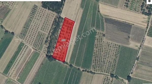 Century21 Bal'dan Sındırgı Cüneyt Mah. Satılık Cevizlik