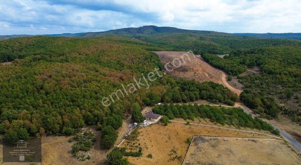 Gebze Denizlide İnşaata Hazır Villa İmarlı Arsa