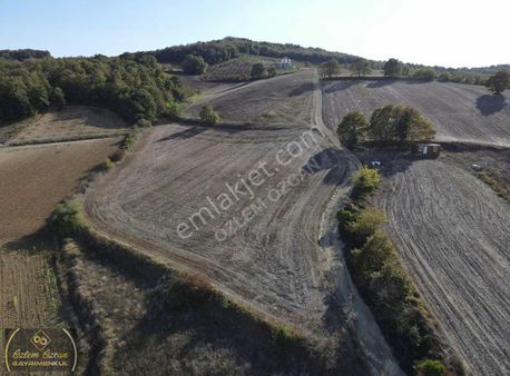 %5 6900m2 Yollu Fırsat