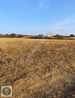 Bolayırda Yerleşim İçinde 300 M2 Tarla Hissesi