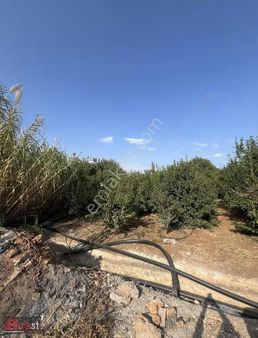 Mersin Erdemli Yukarı Tömükte Satılık Arsa