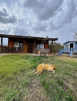 Edirne'de Huzurlu Yaşam Alanı | Doğayla İçiçe Ahşap Ev