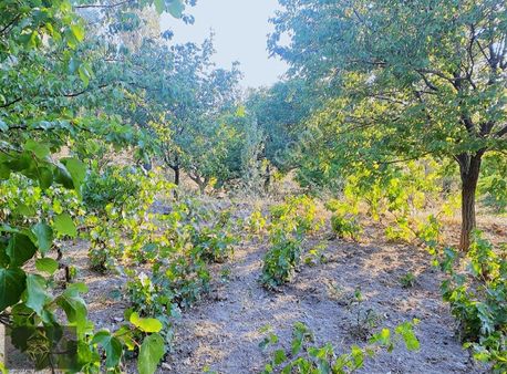 Talas/kamberde Merkeze 25 Km. Anayola 250 Metre Satılık Tarla