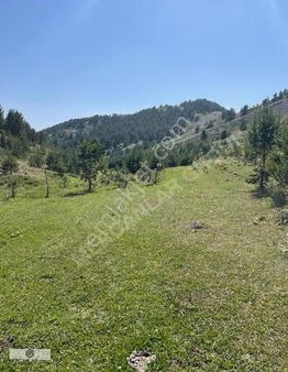 Mercanlar Grouptan Acil Satılık Kupon Yer