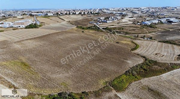 Arnavutköy Hadımköy 23961 M2 Satılık Arazi !!!