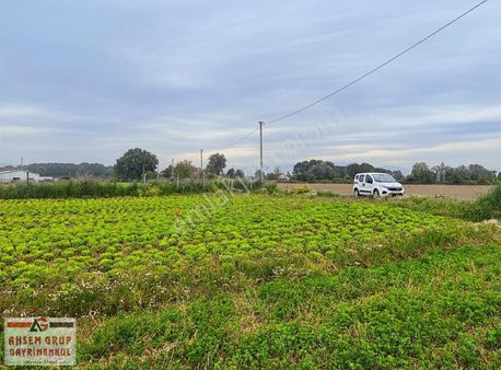 Doğancılarda Fırsat Tarla ! 1.560 M2 Yol Kenarı !