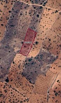 Beymahall Gyo Tokdemir Fırsat Arazi