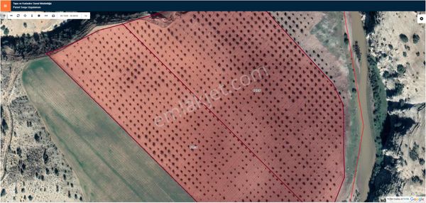 Hadi Gayrimenkul Ve Haritadan Limak Arkasında Satılık Zeytinlik