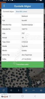 Arslan Emlaktan Satılık Zeytilik