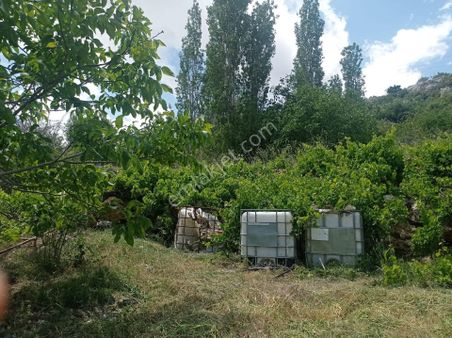 Beykent G.m.'den Yaylalık Köyiçi Satılık Arsa