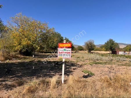 Çınar Emlak'tan Nusratiye Mahallesinde Satılık Bağ