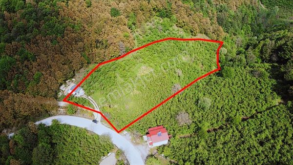 Ruşen Aydın Gayrimenkul'den Kaynaşlı'da Satılık Fındık Bahçesi