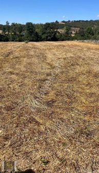 Kavak Tepecik Mahallesinde Yola Cephe Satılık Tarla