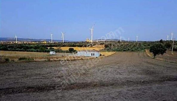 Çanakkale Ezine Üvecik Köyü 6 Dönüm İmranlı Tarla 10 Adet Arsa