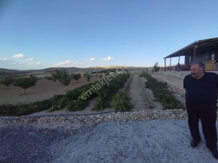 Alihan G.m. Den Salkaya Yolu Üzeri Havuzlu Bahçe