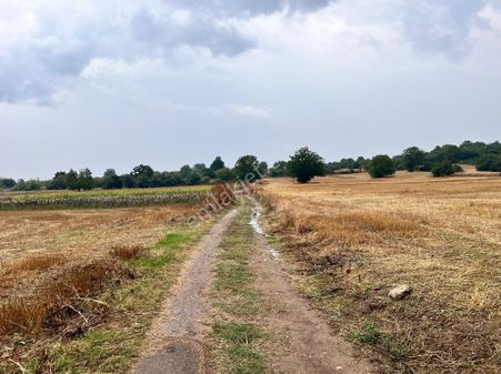 Sakarya Kaynarca Kayacıkta 500m2 Konut İmarlı Satılık Arsalar