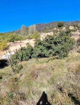 Yarbaşçandır Kocaçayır Mevkisinde 22 Dönüm Satılık Tarla