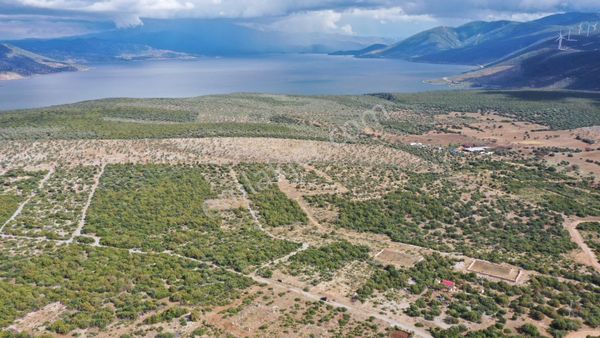 🌿 Didim Bozseki’de Göl Manzaralı Fırsat Arsası 🌿 -57