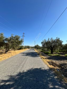 Akgün Emlaktan Süleymanlıda Fırsat Hobi Bahçesi