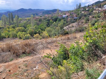 Sakarya Geyve Hisarlık Mahallesinde 3.072 M² İmarlı Arsa