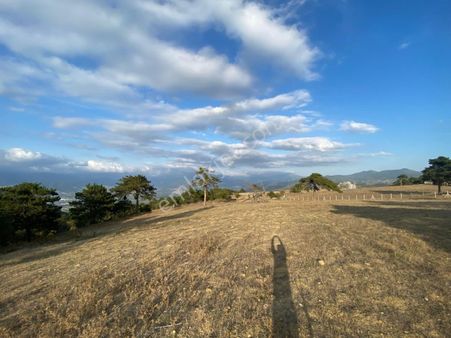 Geyve Demirlerde Muhteşem Manzaralı 7054m2 Tarla